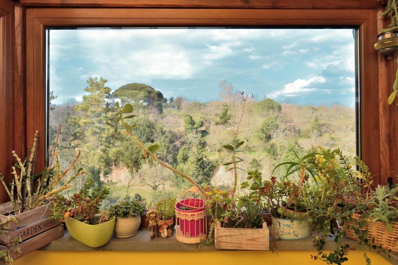 La Casetta Della Nonna Bagnoregio Bagian luar foto