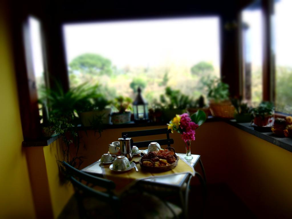 La Casetta Della Nonna Bagnoregio Bagian luar foto